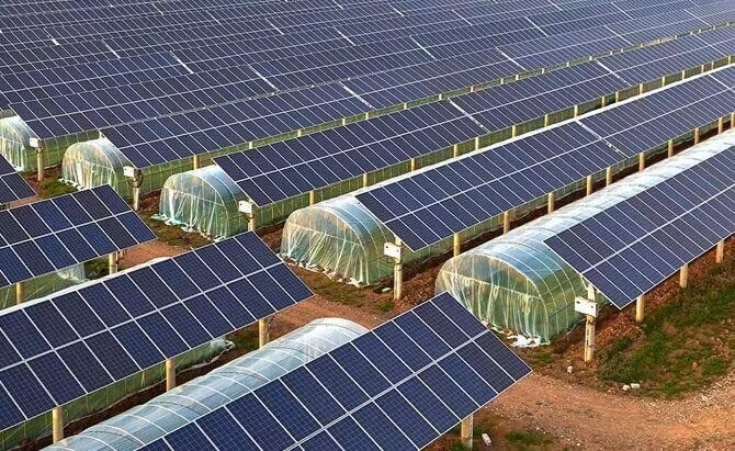 Agricultural Photovoltaic Solution Agricultural Photovoltaic Solution